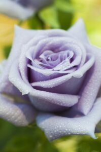 副業で月10万円を稼ぐ方法とは？