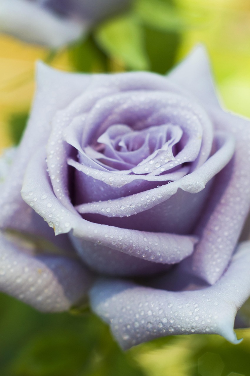 副業で月10万円を稼ぐ方法とは？